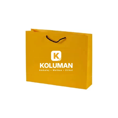 Karton Çanta